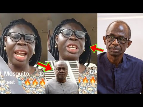 Read more about the article Asiedu Nketia Ne Mahama Y3 Nkwasiafuo Agyemifuo Mmoa, See How This Woman Is In$ulting JM, Mosquito