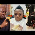 Ex Prz Kufour Wheel Chair Insult: Yaw Dabo Landed In Trouble Over His Comment