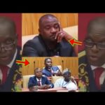 A-Plus, John Dumelo And Other New MPs Disgraced Themselves In Parliament As Speaker Schools Them