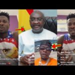 NPPfuo Abu Me Kwasia, Asamoah Gyan Crazily Fires As He Dragged Shatta Wale In It