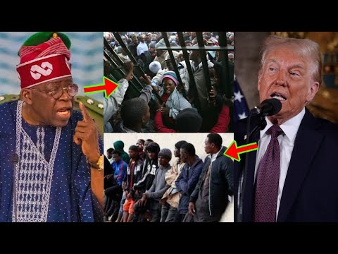 Read more about the article Nigeria Deportations: See How Nigeria Prz Tinubu Has Started Deporting Other Africans In Nigeria