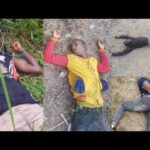 Breaking News: Ghana Is Not Sáfe Anymore, 5 People K!lled In A Forest, Watch Sád Vidéo